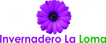 Invernadero La Loma