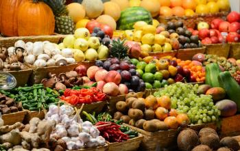 Carnicería y Frutería del Norte