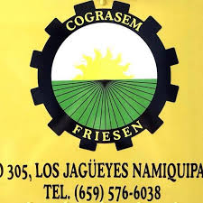 Cograsem Friesen Compra - Venta de Frijol