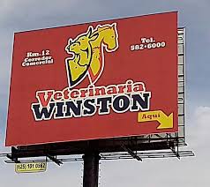 Winston Veterinaria