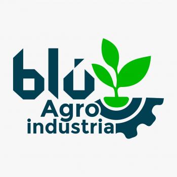 Blu Capital
